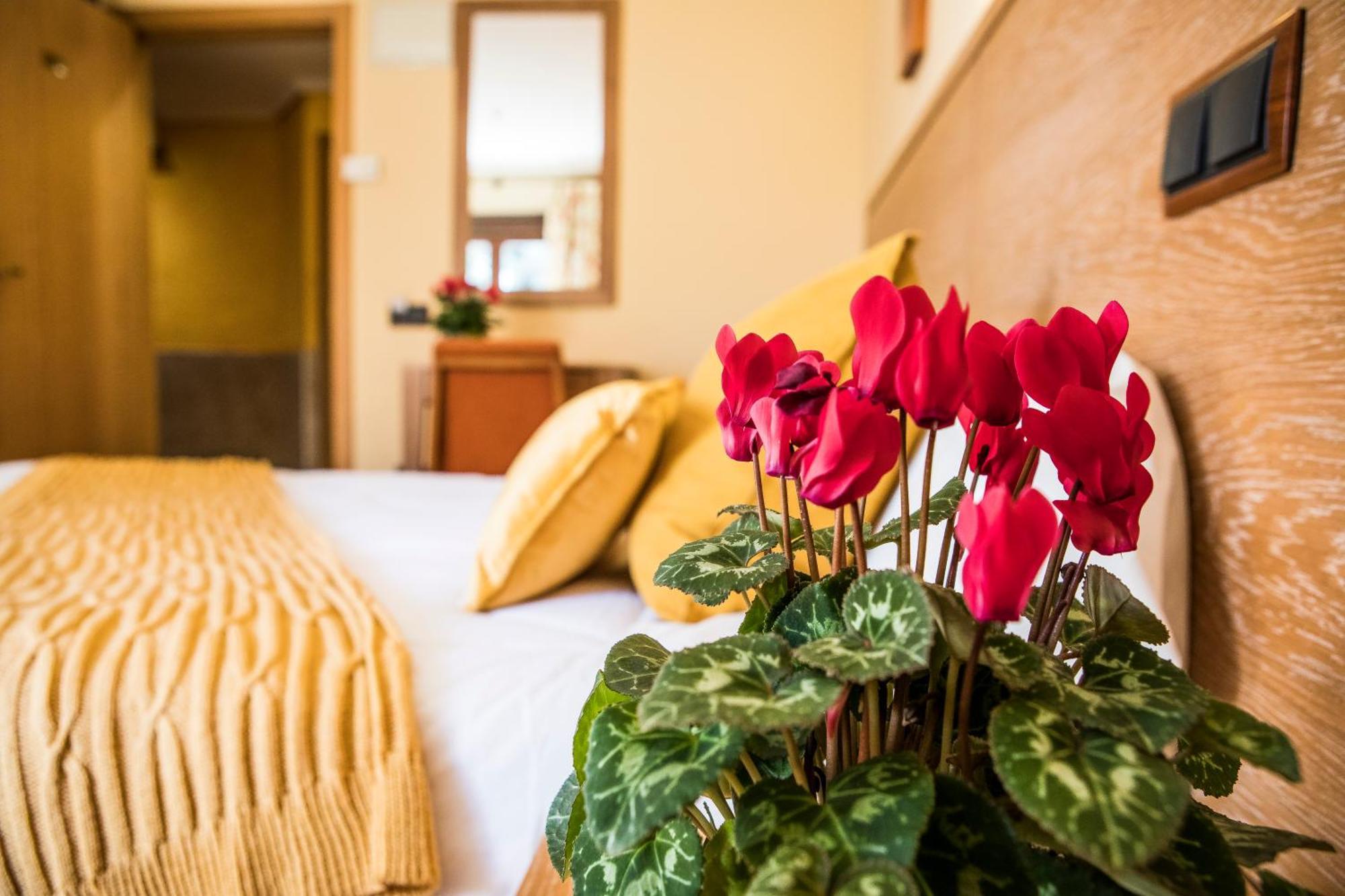 Hotel Casa José Díaz San Agustín de Guadalix Esterno foto